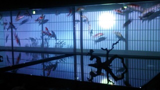 2013091107.jpg