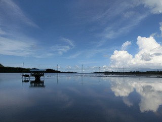 2014090111.jpg