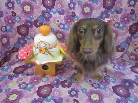 2012123005.jpg
