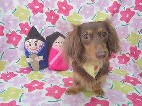 2013030201.jpg