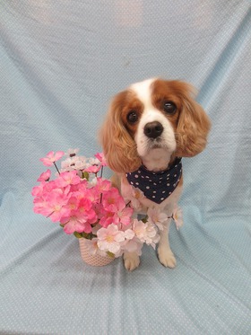 201304112.jpg
