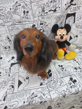 2013042002.jpg