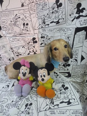 2013052212.jpg