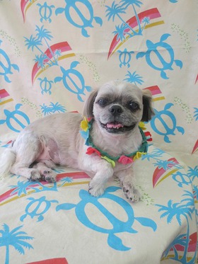 2013071202.jpg