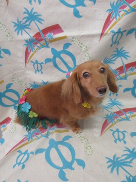 2013072409.jpg