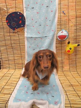 2013083106.jpg