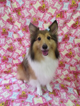 2013091506.jpg