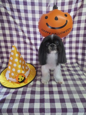 2013100313.jpg