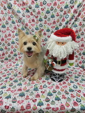 2013122405.jpg