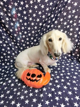 2014101102.jpg