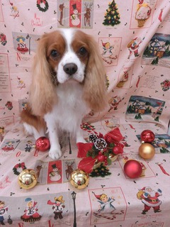 2014120702.jpg