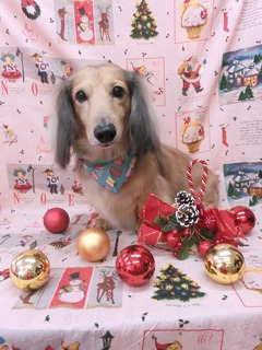 2014120703.jpg