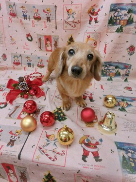 2014122309.jpg