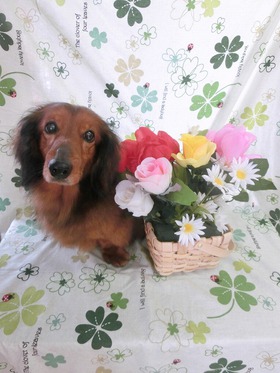 2015041510.jpg