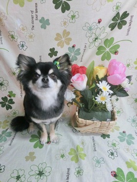2015041704.jpg