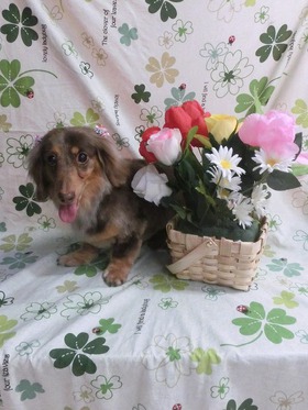 2015041804.jpg