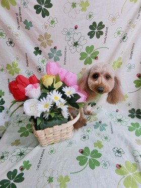 2015041907.jpg