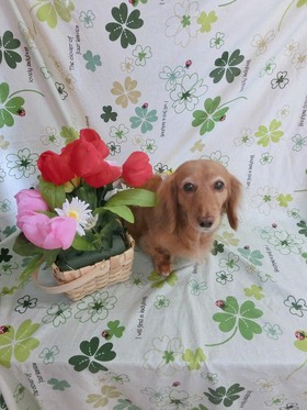 2015043003.jpg