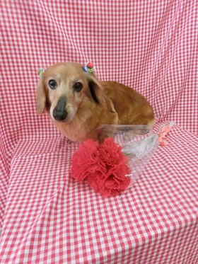 2015052405.jpg