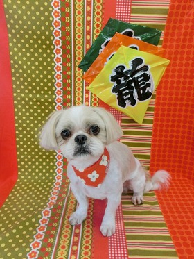 2016011605.jpg