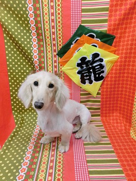 2016012309.jpg